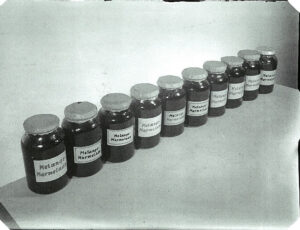 Treuhandstelle depot: Confiscated food (source: http://collections.jewishmuseum.cz)