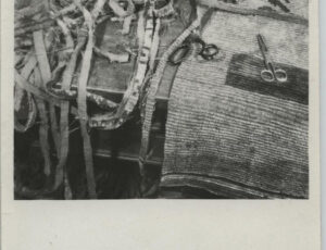 Shredded seized carpets (source: http://collections.jewishmuseum.cz)