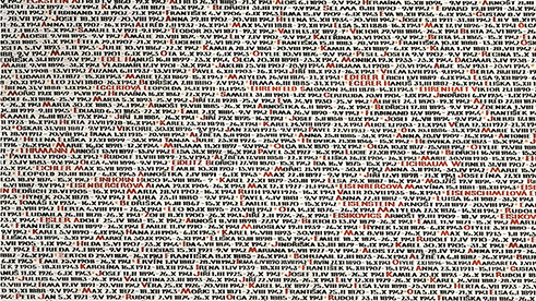 Preserving Memory. Holocaust in Monuments and Memorials in the Czech Republic