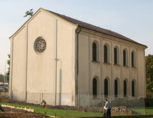 Libeň Synagoue, condition as of 19.6.2008 (© CDMP)