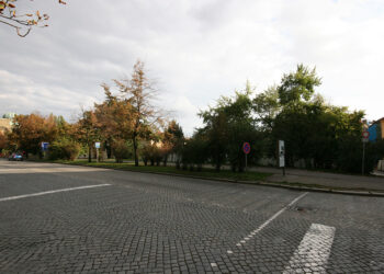 Na Františku 7 (sokolovna), stav k 19.6.2008 (©CDMP)