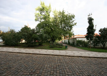 Na Františku 7 (sokolovna), stav k 19.6.2008 (©CDMP)