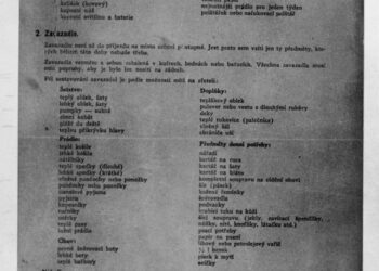 Seznam věcí povolených a doporučených do transportu. Připomínky k sestavení výstroje (zdroj: http://collections.jewishmuseum.cz)